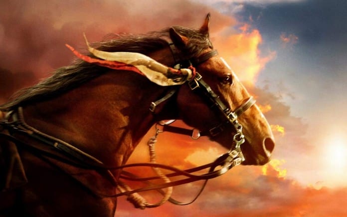 El significado del caballo El significado del caballo