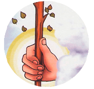 As de Bastos - Significado en el Tarot